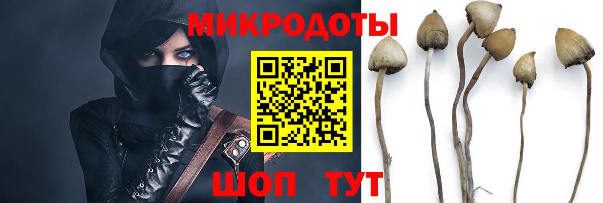 Псилоцибиновые грибы MAGIC MUSHROOMS Красноярск